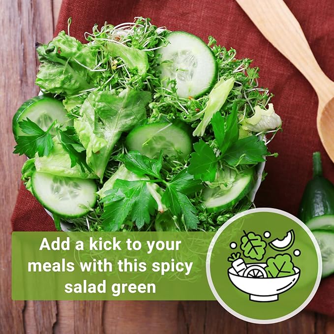 Sow Right Seeds - Garden Cress Seeds for Planting - Non-GMO Heirloom Packet with Instructions to Plant and Grow a Kitchen Herb Garden - Indoors or Outdoors - Edible Leaves and Cute Filler (3)