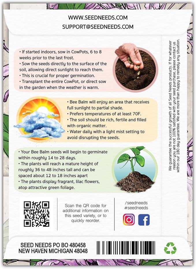 Seed Needs, Wild Bergamot Bee Balm Seeds - 400 Heirloom Seeds for Planting Monarda fistulosa - Attracts Honeybees, Bumblebees, Butterflies & Other Pollinators (1 Pack)