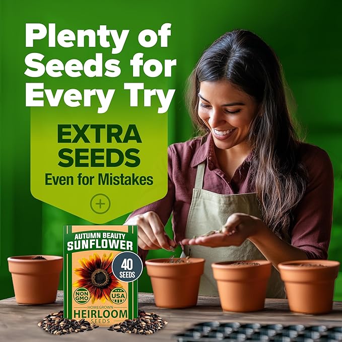 HOME GROWN Autumn Beauty Sunflower Seeds to Plant - 40 Heirloom and Non-GMO Sunflower Seeds for Planting - Blooms for Pollinator Support, and Ornamental Flower Garden (Helianthus annuus)