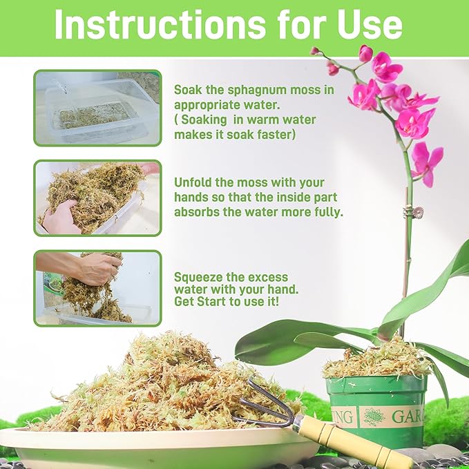 12Oz Sphagnum Moss for Plants Indoor, Premium Peat Moss for Reptiles Terrarium-12 Quarter, Natural Long Fiber Orchid Moss for Repotting Propagation Succulent Sarracenia Carnivorous Gardening