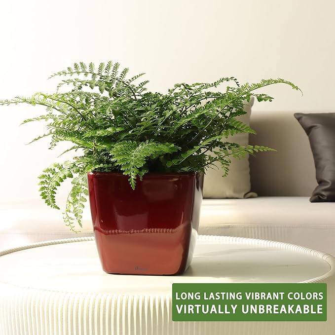 Dexceder 9x8 Self Watering Planter Indoor Outdoor, Inner Mat Design, Thickened Table Flower Plant Pot with Water Level Indicator (Red High Gloss)