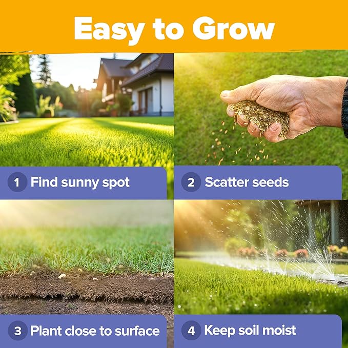 HOME GROWN 44,000 Wildflower Seeds: 2oz Perennial Wild Flower Seeds Mix - Flower Garden Seeds for Attracting Birds & Butterflies - 25 Variety Wildflowers Seed for Planting Outdoor Garden Flowers