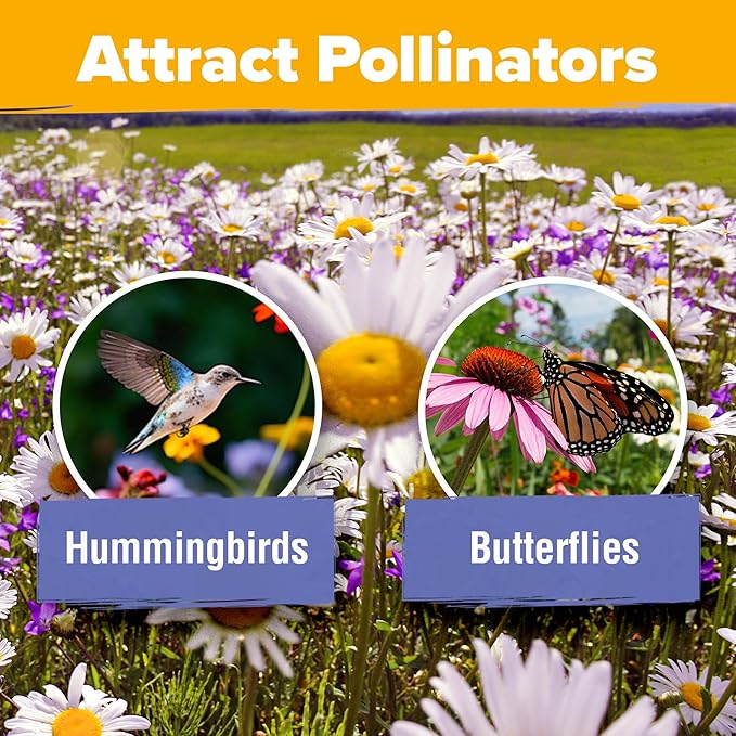 HOME GROWN 44,000 Wildflower Seeds: 2oz Perennial Wild Flower Seeds Mix - Flower Garden Seeds for Attracting Birds & Butterflies - 25 Variety Wildflowers Seed for Planting Outdoor Garden Flowers
