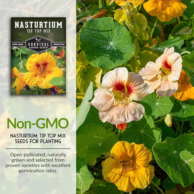 Survival Garden Seeds - Tip Top Mix Nasturtium Seeds - 2 Packs with Instructions to Plant and Grow Edible Flowers & Companion Plants in Your Home Vegetable Garden - Non-GMO Heirloom Variety