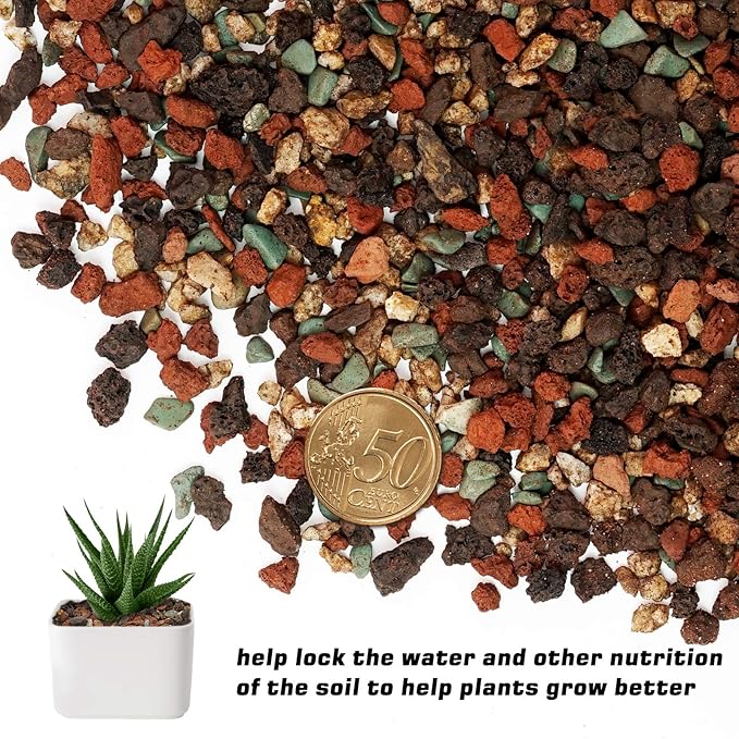 Mix Horticultural Lava Rock Pebbles-Decorative Landscaping Gritty Rocks,Pumice Potting Soil Amendment,Additive for Succulent,Cactus Bonsai,Vase Fillers,Terrarium,Fairy Gardening,Top Dressing.