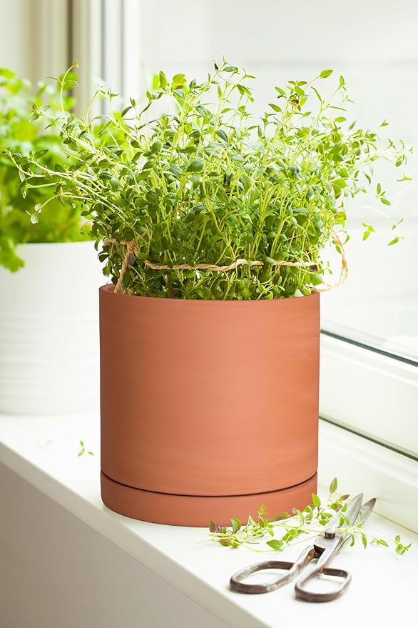 D'vine Dev Small Plus 5 Inch Terracotta Plant Pot with Drainage Hole and Saucer, Round Cylinder Planter Pot for Indoor Plants, 40-X-A-2