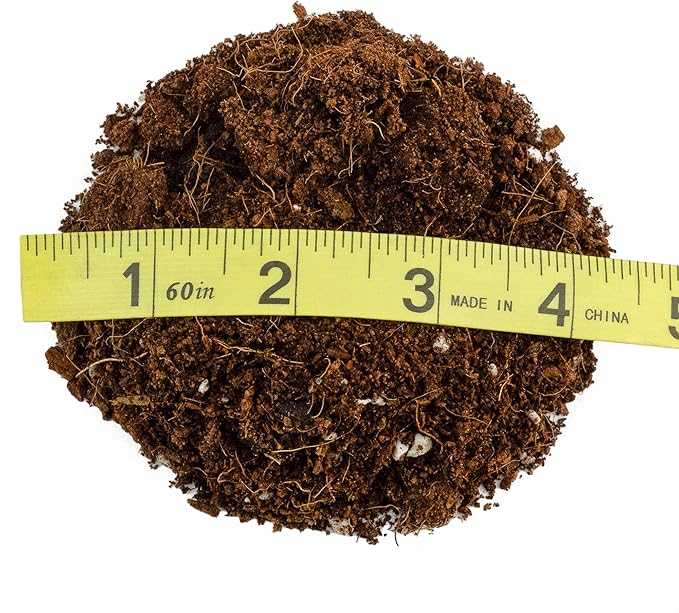 Terrarium Potting Soil Mix (8 Quarts), w/Blended Filtering Charcoal Custom Made for Terrariums