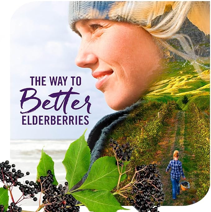 Nature's Way Sambucus Zinc Lozenges 24 Lozenges