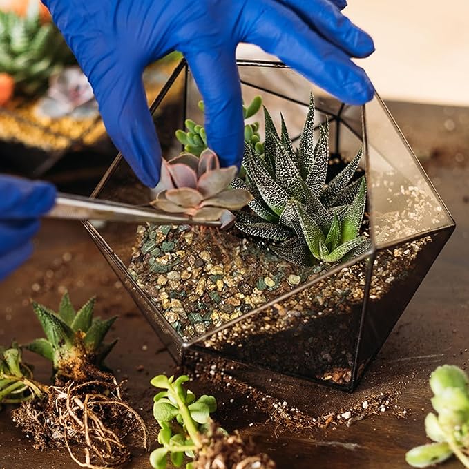 Terrarium Potting Soil Mix 1qt, Custom Made for Terrariums, Perfect for Vibrant Miniature Gardens
