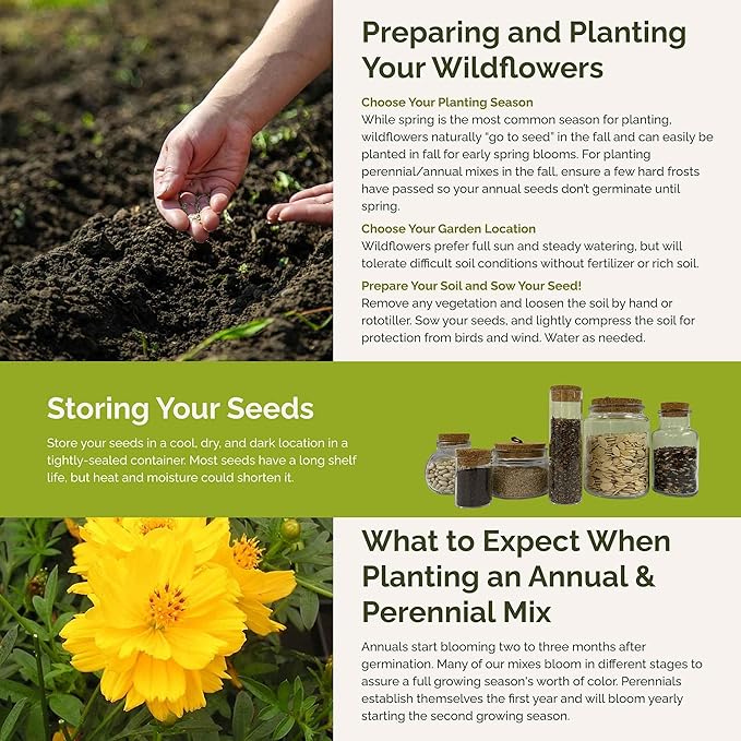 Eden Brothers Ole Yeller Wildflower Mixed Seeds for Planting, 1/4 lb, 120,000+ Seeds with African Marigold, Sunflower | Attracts Pollinators, Plant in Spring or Fall, Zones 3, 4, 5, 6, 7, 8, 9, 10