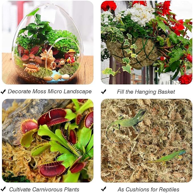 Halatool 6OZ Natural Sphagnum Moss for Plants 8 QT Premium Peat Moss Dried Long Fiber Orchid Moss for Orchid Repotting Carnivorous Succulents Garden Flowers Crafts Terrarium and Reptiles