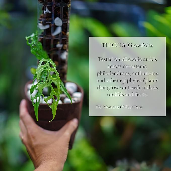 Plastic Moss Poles for Climbing Plants V2 Medium 5 Pcs Stackable Moss Pole Monstera Plant Support-Plant Climbing Pole, DIY Moss Pole for Plants Indoor, Plant Sticks Support by THICCLY