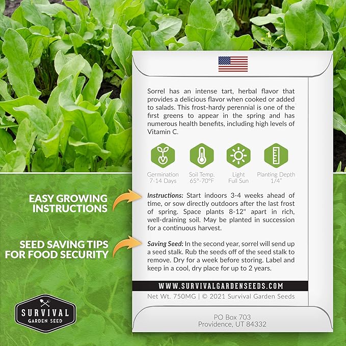 1 Pack Sorrel Seed for Planting - Packet with Instructions to Plant and Grow Rumex Acetosa Tangy Herb and Salad Greens in Your Home Vegetable Garden - Non-GMO Heirloom Variety - Survival Garden Seeds
