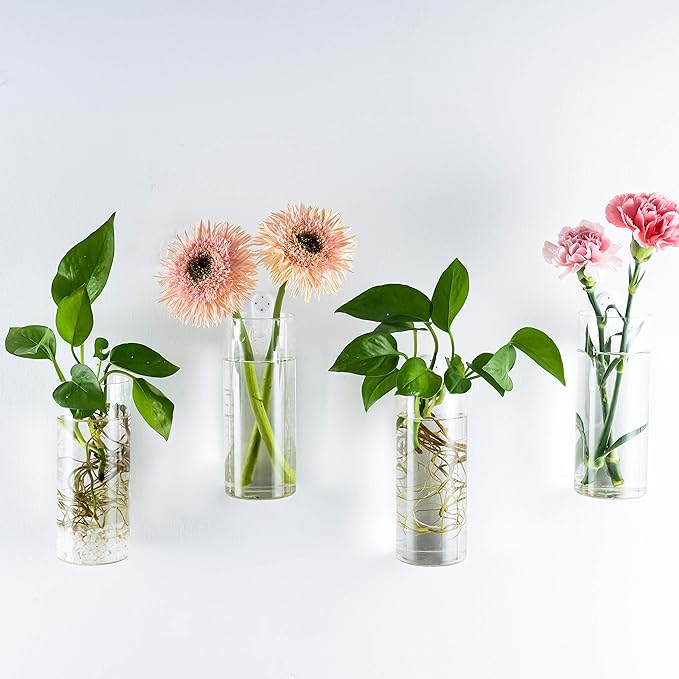 Kingbuy Glass Planter Terrarium Plant Propagation Station Wall Hanging for Home Office Decor, Medium Cylinder, 2 Pack