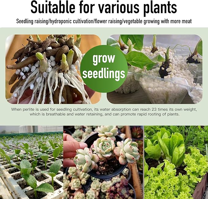 2QT Perlite for Plants Organic Perlite Horticultural Soil Amendment for Indoor & Outdoor Container Plants and Enhanced Drainage Enhanced Growth, Promote Root Growth and Soil Health