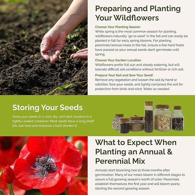 Eden Brothers Red Head Wildflower Mixed Seeds for Planting, 5 lb, 2,400,000+ Seeds with Maltese Cross, Scarlet Flax | Attracts Pollinators, Plant in Spring or Fall, Zones 3, 4, 5, 6, 7, 8, 9, 10