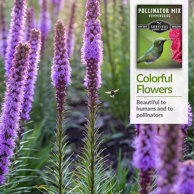 Survival Garden Seeds - Hummingbird Pollinator Mix Wildflower Seed for Planting - 3 Packs with Instructions to Plant & Grow Nectar Flowers in Your Home Vegetable Garden - Non-GMO Heirloom Varieties