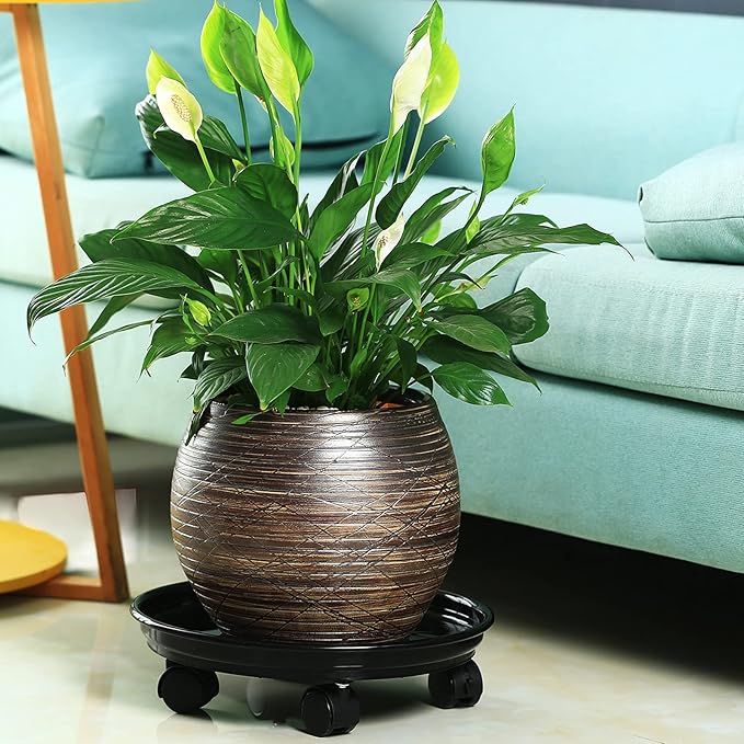 6 Packs Plant Caddy with Wheels 12" Plastic Rolling Plant Stands Heavy-duty Plant Dolly with Casters Indoor and Outdoor Plant Roller Base Large Heavy Plant Pot Saucers with Wheels Plant Movers