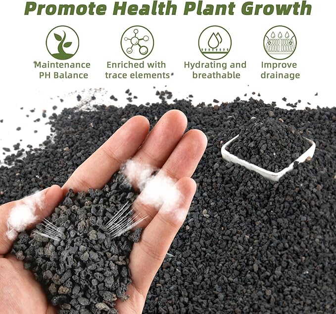 2.4LB Black Lava Rocks for Plants, Volcanic Rock Horticultural Lava Rock Soil for Landscaping Plants Drainage, Small Lava Rock Gravel for Succulents, Bonsai, Vase Fillers, Top Dressing