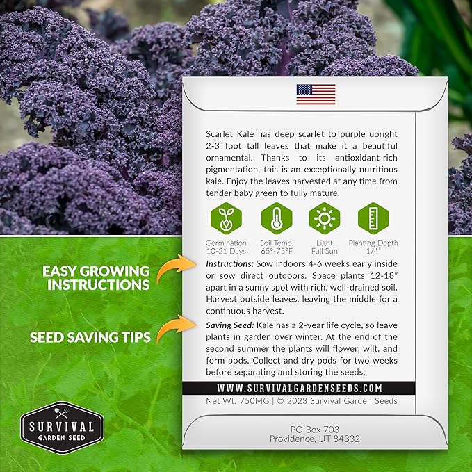 Scarlet Kale Seeds for Planting - 3 Packets with Instructions to Plant Edible & Ornamental Kale Vegetables in Your Home Food Garden - Non-GMO Heirloom Variety - Survival Garden Seeds