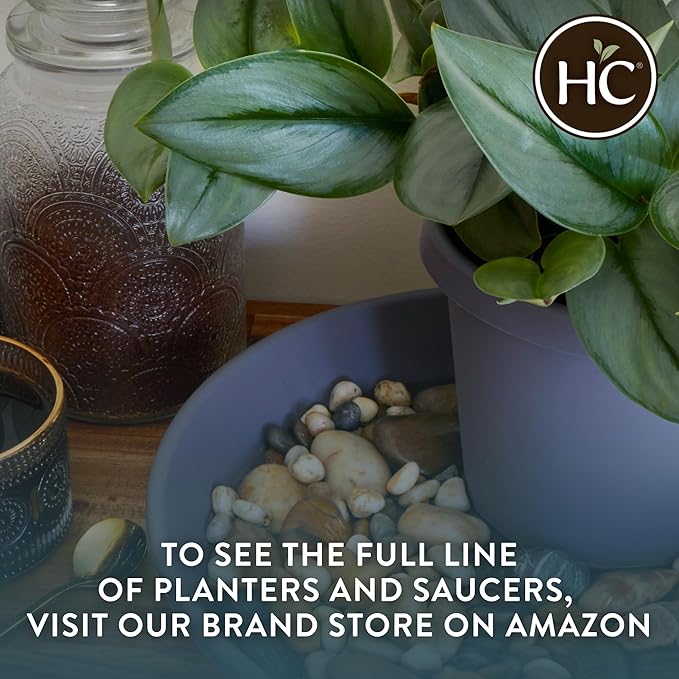 The HC Companies 8.5 inch Round Classic Planter - Plastic Plant Pot for Indoor Outdoor Plants Flowers Herbs, Sandstone (4 Pack)