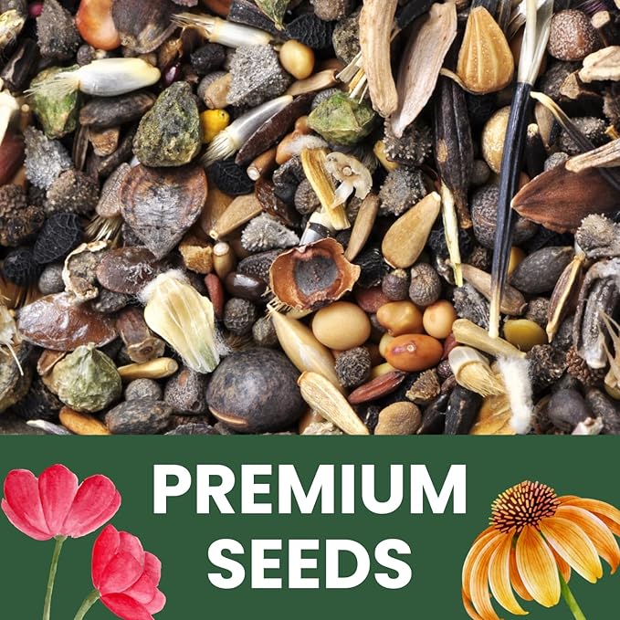 Perennial Species Mix - Bulk 1/4 Pound Pouch - 60,000 Flower Seeds for Planting - Wildflower Mix