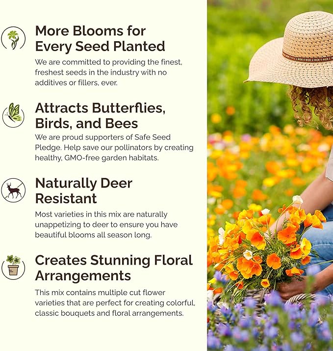 Eden Brothers Dry Area Wildflower Mixed Seeds for Planting, 1/4 lb, 120,000+ Seeds with Cosmos, African Daisy, Blue Flax | Attracts Pollinators, Plant in Spring or Fall, Zones 3, 4, 5, 6, 7, 8, 9, 10