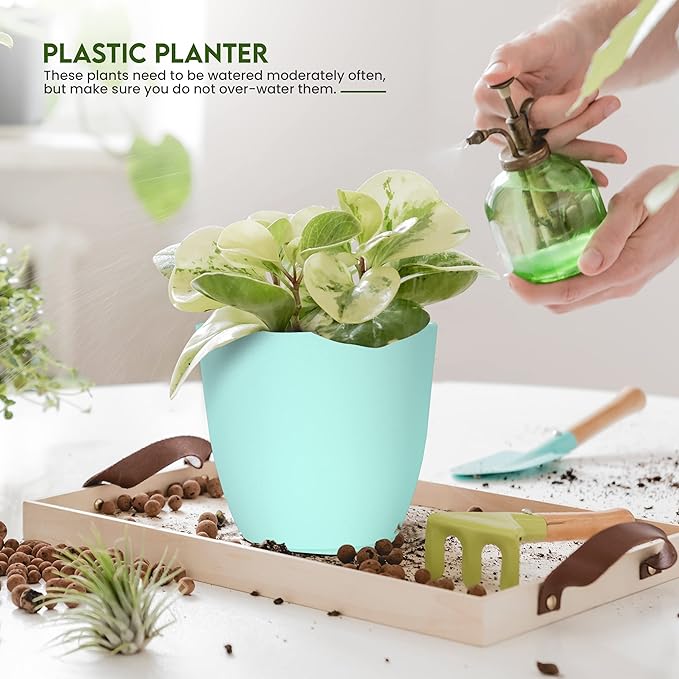 Utopia Home - Plant Pots Indoor with Drainage - 7/6.6/6/5.3/4.8 Inches Home Decor Flower Pots for Indoor Planter - Pack of 40 Plastic Planters for Indoor Plants, Cactus, Succulents Pot - Aqua