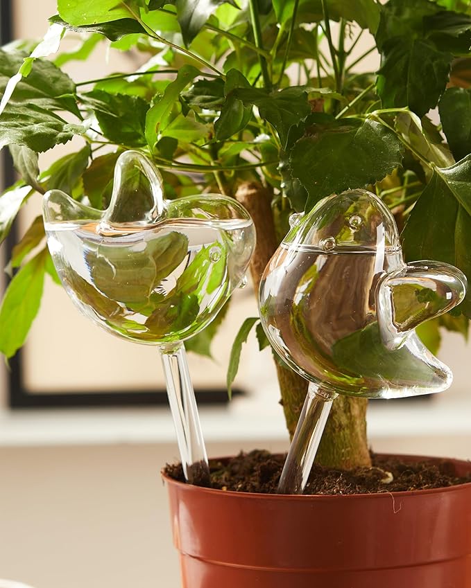 DN DECONATION 3 Pcs Bird Shaped Watering Globes, Birdlike Clear Glass Watering Bulbs, Watering Bulbs for Indoor Plants & Outdoor, Automatic Plant Watering System to Support Plant Health, Decor
