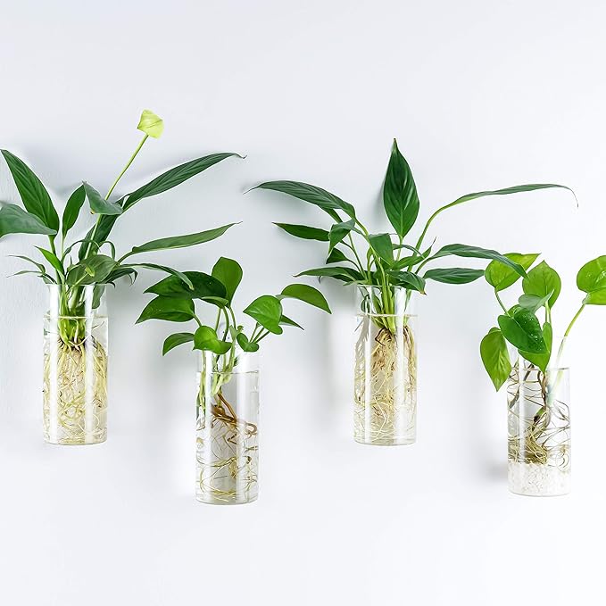 Kingbuy Wall Planter Terrarium Plant Propagation Station Glass Wall Vase for Home Kitchen Windowsill Decor, Plant Lover Gifts, Clear Medium Cylinder, 4 Pack