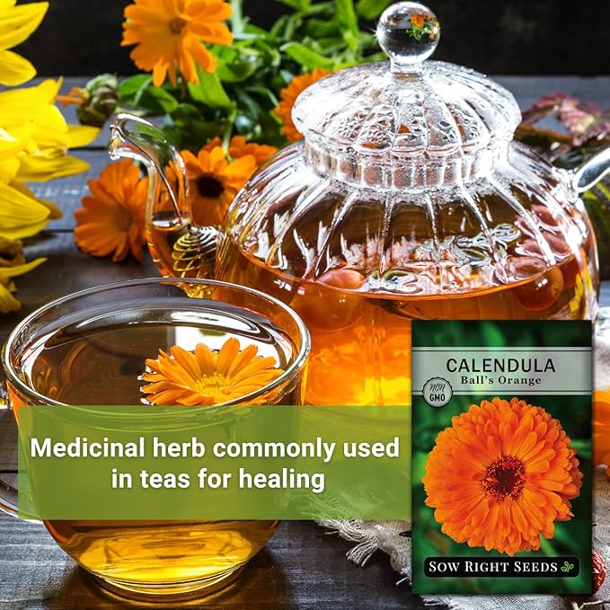 Sow Right Seeds - Ball’s Orange Calendula Seeds for Planting - Non-GMO Heirloom Packet with Instructions to Plant a Home Garden - Medicinal Orange Blooms That Pollinators Love - Grow Herbal Tea (2)