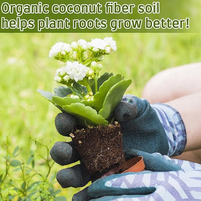 Halatool 30mm 50pcs Organic Coconut Coir Pellets Soil for Planting, Compressed Coco Coir Soil Potting Soil Seed Starters for Growing Vegetables, Fruits, Flowers
