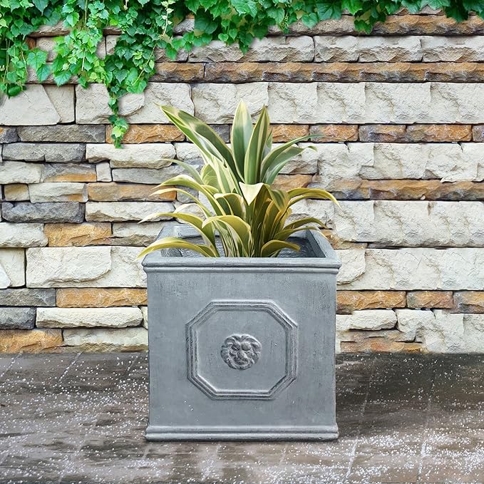 Kante Square Lion Head Concrete Planter, Classic English Style Plant Pot with Drainage Hole and Rubber Plug for Indoor Outdoor Garden Patio Home, 10.2"x10.2"x 10.2" Antique Gray