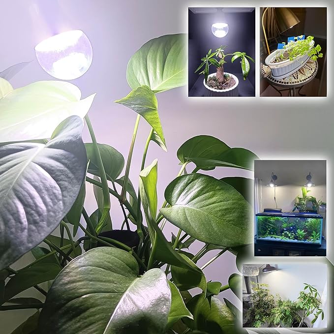 Grow Light Bulbs E12 Candelabra Small Screw Base for Indoor Plants Full Spectrum,Grow LED Light Bulb 10W with Balanced Spectrum 5000K Blue Red for Seeds Greens Laboratory,School,Greenhouse Garden,6Pcs