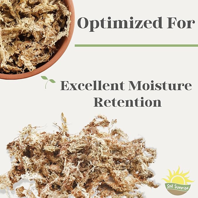 Long Fibered Sphagnum Peat Moss (4 Quarts), All Natural Dried Moss for Orchids, Carnivorous Plants, Decorating, Terrariums
