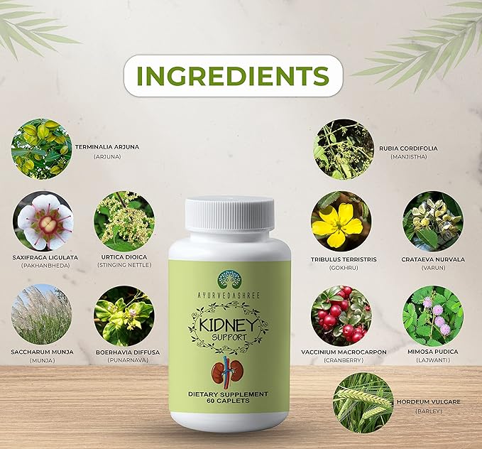 Kidney Support Herbal Supplement 1000 MG