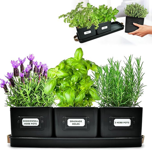 Herb Planter Indoor - Set of 3 Black Indoor Herb Garden Pots for Plants with Leather Handled Tray - Window Sill Plant Shelf - Herb Pots with Drainage Holes and Labels