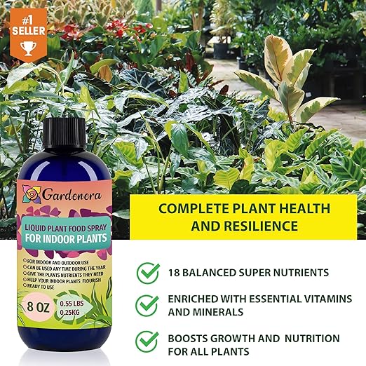 Plant Growth Superfood for Indoor Plants with 18 Key Vitamins & Minerals - Organic Plant Food Fertilizer - Micro-Fungi and Bio-Organisms for Indoor Plant Care & Growth Enhancement - 8oz