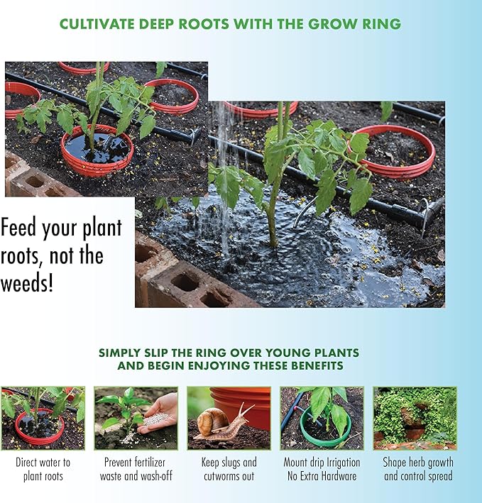 Kids Outdoor Zinnia Garden Kit - Complete Kit for Growing Your Own Zinnias from Seeds with Grow Rings and Greenhouse Germination Domes, Non-GMO Seeds, BPA-Free