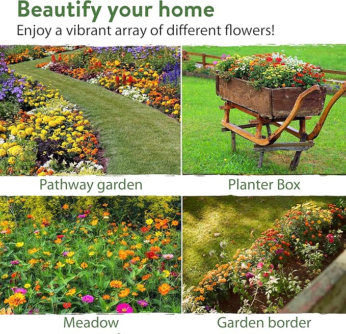 HOME GROWN 49,000+ Wildflower Seeds: (2oz) Bulk Mix, 21 Varieties Wild Flower Mix - Bee and Butterfly Garden Pack - Native Annual Flowers for Planting for Your Garden