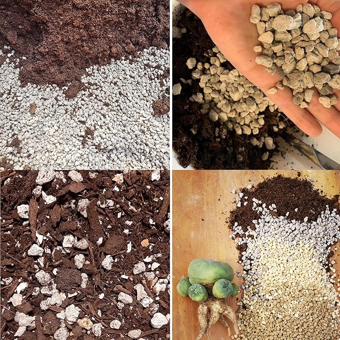 20QT Horticultural Pumice for Plants Professional Sifted - for Succulents, Cactus, Bonsai Plants - 3/8 inch (20QT)