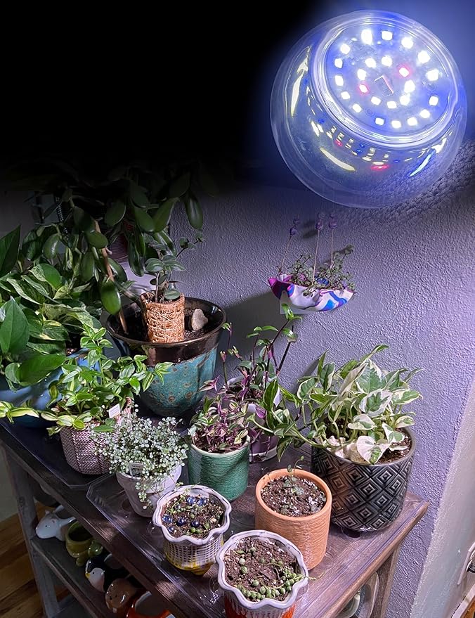 Red Blue 5000K LED Grow Light Bulbs Full Spectrum A19 Bulb, E26 12W Sun Grow Plant Light Bulbs 100w Equivalent, Plant Growing Lamp Bulbs for Flowers, Seed Starting, Indoor Growing, Greenhouse, 6pack