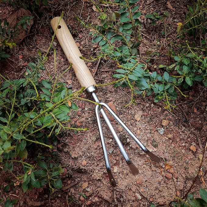 Japanese Hand Cultivator Garden Tool - Hand Rake - Garden Cultivator Hand Tools for Weeding and Turning Soil, Heavy Duty Stainless Steel Blade Gardening Hand Tool with Hang Hole