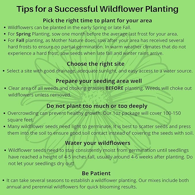 Partial Shade Wildflower Seeds -1 oz, Open-Pollinated Wildflower Seed Mix Packet, No Fillers, Annual, Perennial Wildflower Seeds Year Round Planting - 1 oz