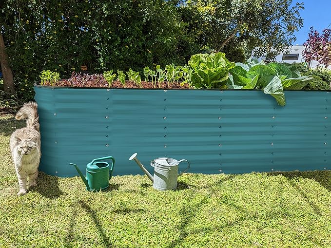 Galvanized Raised Garden Beds Outdoor // 8×2×2 ft Planter Raised Beds for Gardening, Vegetables, Flowers (Turquoise) // Large Metal Garden Box // Patented Tool-Free Design