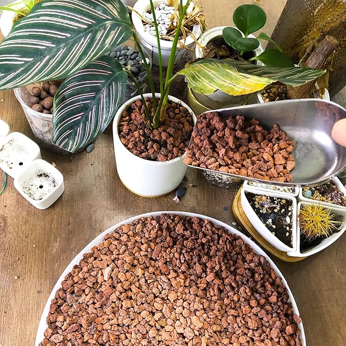 Natural Lava Rocks Granules Decorative Landscaping for Bonsai, Cacti, Succulents Plants, Vase Fillers and Terrarium Plants, 5Lbs