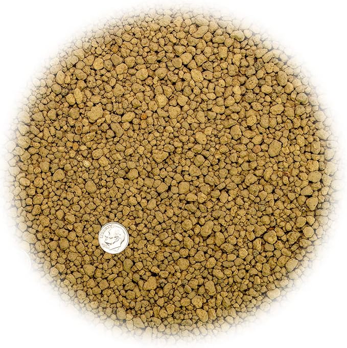 Japanese Hyuga Pumice - Premium Additive for Orchid & Bonsai Tree Soil |Professional Imported Sifted and Ready to Use (4 Quart Bag)