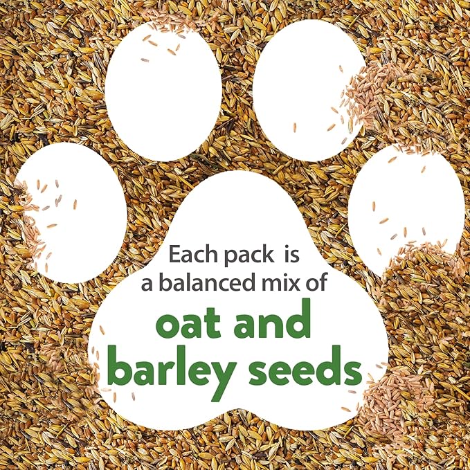 1 Pound Cat Grass Seeds for Cat & Kittens - 100% π‘π’π‘-ππ π’ π¨π¦π, Heirloom | Grow Fresh Kitty Grass for Chewing | Pet Grass for Cats Indoor Garden | Wheatgrass Seeds for Pets | Healthy Cat Greens