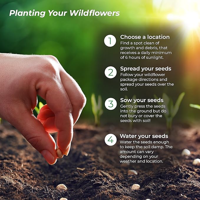 Texas Wildflower Seed Mix, Covers 325 Sq Ft, 17 Flower Varieties, Over 60,000 Seeds - Created By Nature