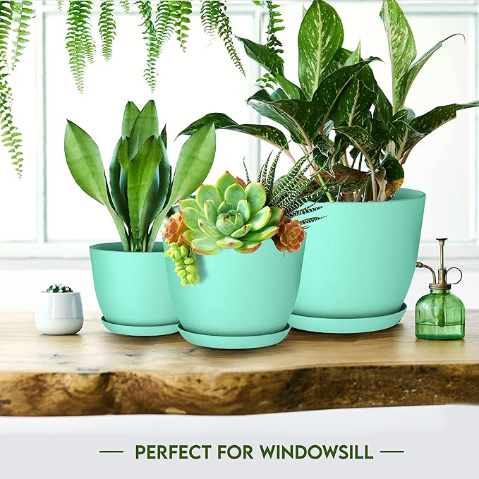 Utopia Home - Plant Pots Indoor with Drainage - 7/6.6/6/5.3/4.8 Inches Home Decor Flower Pots for Indoor Planter - Pack of 40 Plastic Planters for Indoor Plants, Cactus, Succulents Pot - Aqua